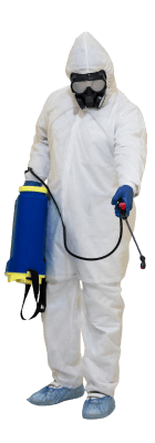 how mumbai pest work